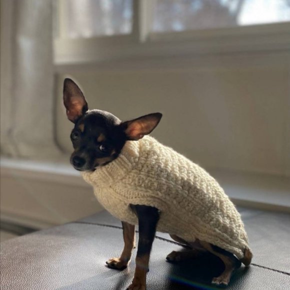 M Little Broken Waffles Dog Sweater - Picture 3 of 11